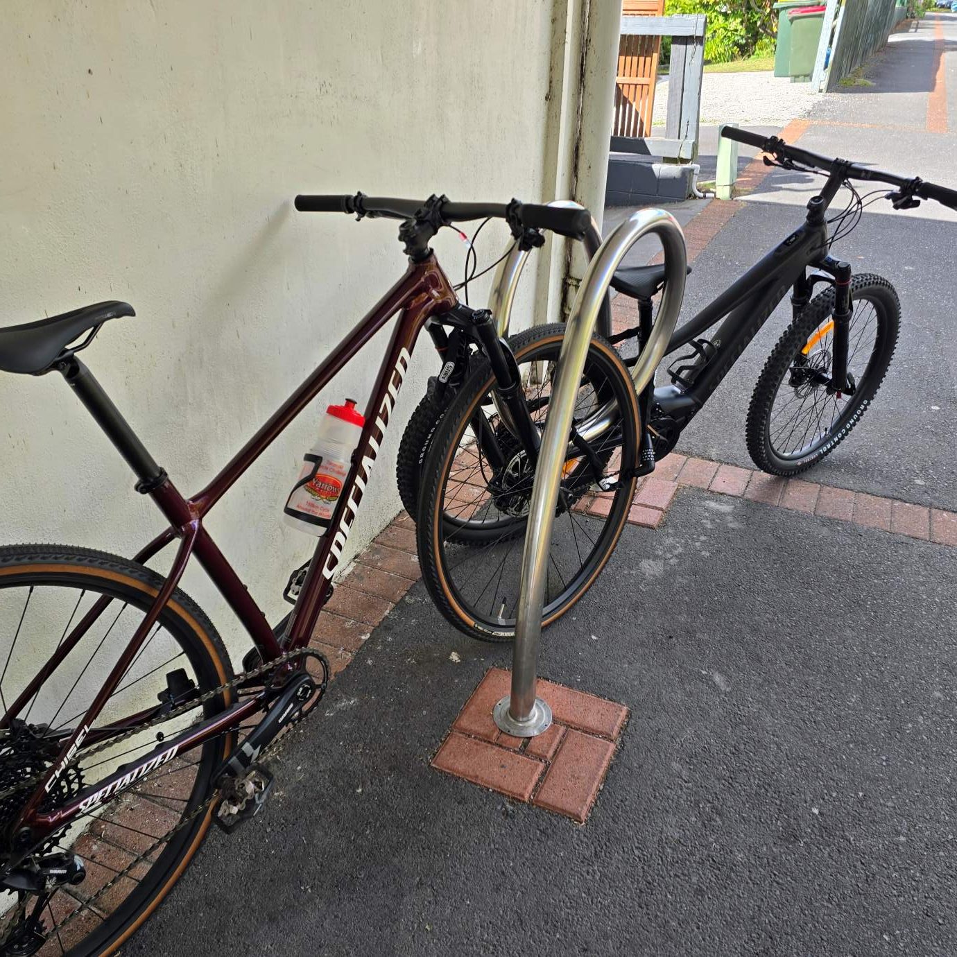 Back to the Real World