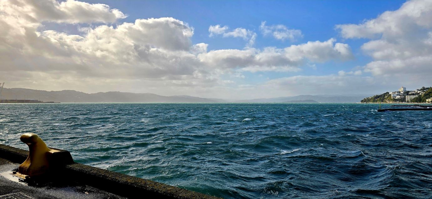 DAY FIVE – WELLINGTON | CONFERENCE DAY 2