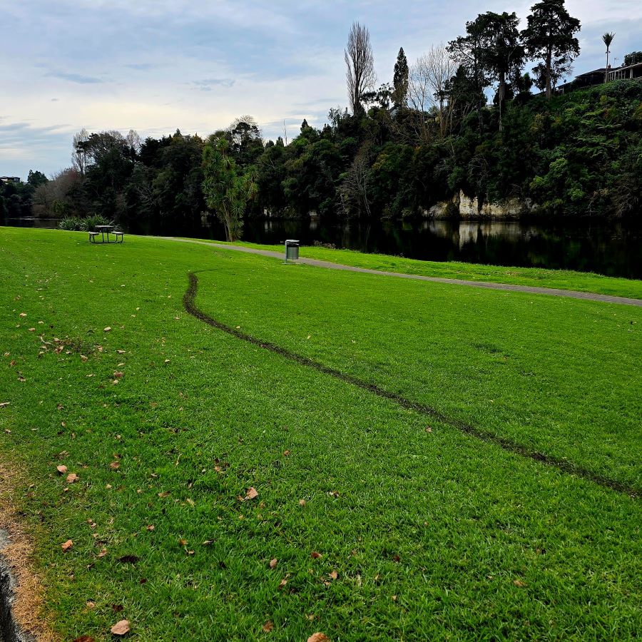 THE VOICE THAT WON’T LET UP