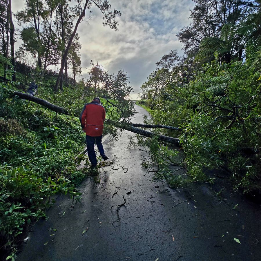 Fallen Trees and Fitted Sheets
